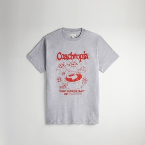 Coach Relaxed T Shirt: Flower Pot Grise Multicolore | COH866911