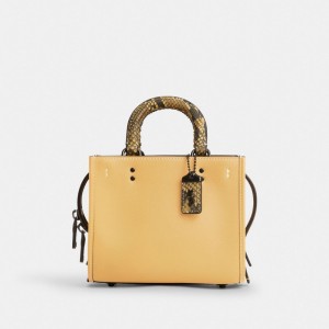 Coach Rogue 17 With Snakeskin Detail Bleu Grise | COH865167