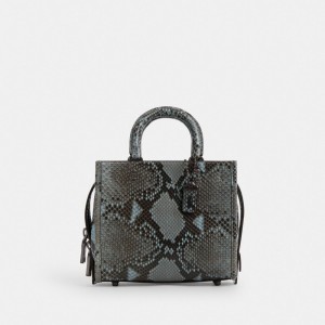 Coach Rogue 20 In Snakeskin Bleu Grise Bleu | COH865174