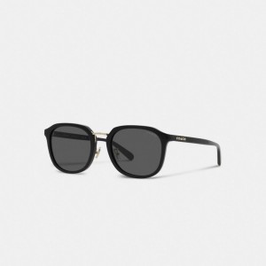 Coach Rounded Geometric Sunglasses Noir | COH867085