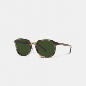 Coach Rounded Geometric Sunglasses Vert | COH867069