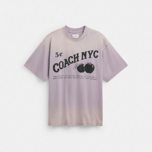 Coach Signature Apple T Shirt Violette | COH866921