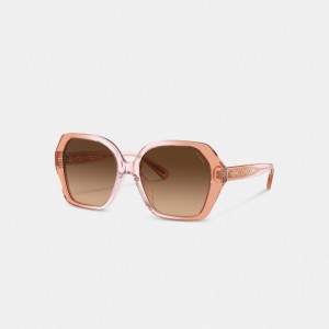Coach Signature Ombré Geometric Square Sunglasses Marron | COH866380
