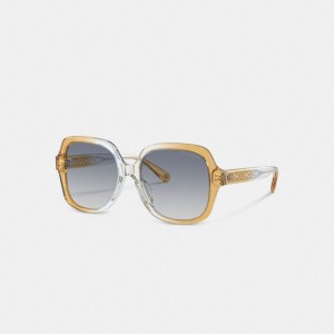 Coach Signature Ombré Oversized Square Sunglasses Bleu | COH866332