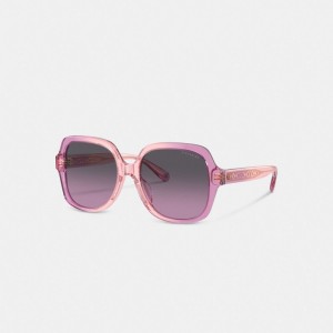 Coach Signature Ombré Oversized Square Sunglasses Rose Violette | COH866387