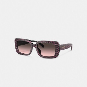 Coach Signature Oversized Rectangle Sunglasses Noir Rose | COH866333