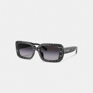 Coach Signature Oversized Rectangle Sunglasses Argent | COH866392