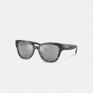 Coach Signature Round Sunglasses Argent | COH866393