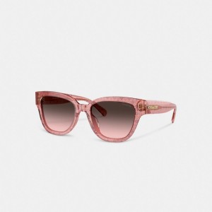 Coach Signature Round Sunglasses Rose | COH866334