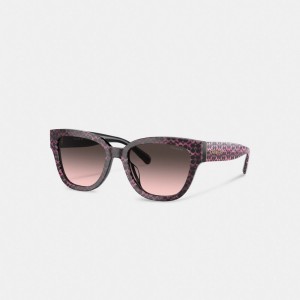Coach Signature Round Sunglasses Rose | COH866359