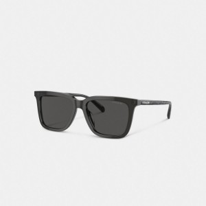 Coach Signature Square Sunglasses Grise | COH866363