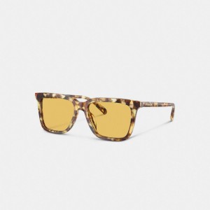 Coach Signature Square Sunglasses Orange | COH867076