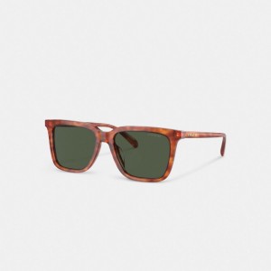 Coach Signature Square Sunglasses Vert | COH867056
