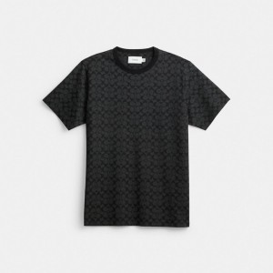 Coach Signature T Shirt Grise | COH866920