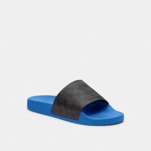 Coach Slide Bleu | COH866841
