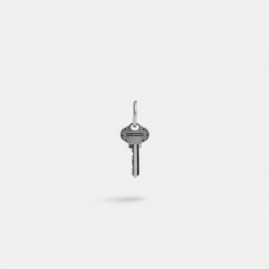 Coach Sterling Silver Key Single Huggie Earring Argent | COH867028