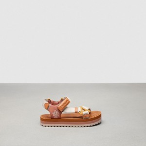 Coach Strappy Sandal Multicolore | COH865858