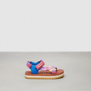 Coach Strappy Sandal Violette Multicolore | COH865873