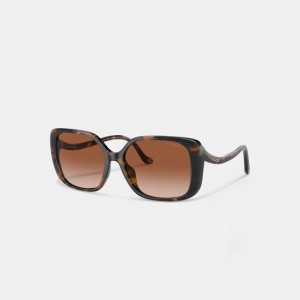 Coach Swoop Temple Rectangle Sunglasses Marron | COH866325