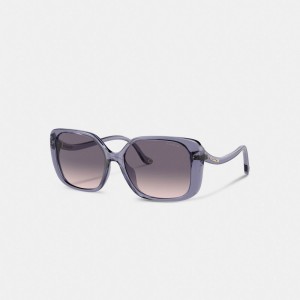 Coach Swoop Temple Rectangle Sunglasses Violette | COH866343