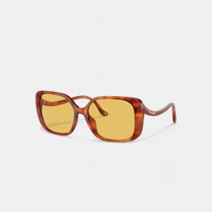 Coach Swoop Temple Rectangle Sunglasses Marron | COH866375