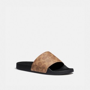 Coach Udele Sport Slide In Signature Canvas Marron | COH865855