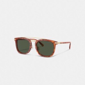 Coach Wrap Around Hangtag Browbar Sunglasses Marron | COH867070