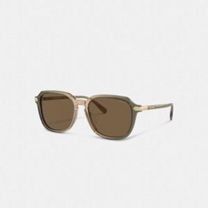 Coach Wrap Around Hangtag Keyhole Sunglasses Vert Marron | COH867084