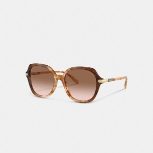 Coach Wrap Around Hangtag Oversized Geometric Round Sunglasses Orange | COH866341