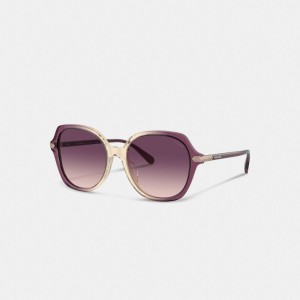 Coach Wrap Around Hangtag Oversized Geometric Round Sunglasses Violette Beige | COH866373