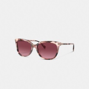 Coach Wrap Around Hangtag Square Sunglasses Rose | COH866337