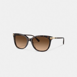 Coach Wrap Around Hangtag Square Sunglasses Marron | COH866396